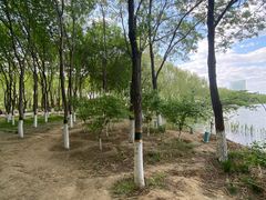 -大兴滨河森林公园