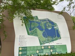 -大兴滨河森林公园