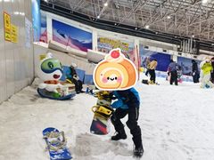 -绍兴启迪乔波冰雪世界