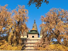 -北京石刻艺术博物馆(五塔寺)