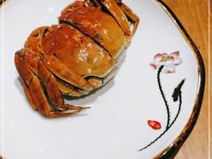 -椿不老