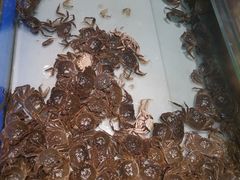 河蟹-鼎香缘海鲜自助火锅烤肉(锦辉购物广场店)