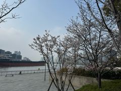-巴黎春天(浦建店)