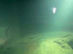 -白鹤梁水下博物馆