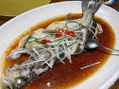 -丹江渔村(望京店)