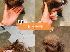 -滇咖啡体验店