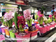 -宜家家居(哈尔滨商场店)