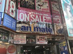 -Animate(秋叶原本馆)