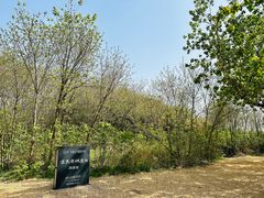 -汉长安城未央宫国家考古遗址公园