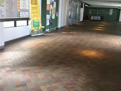 -香港大学
