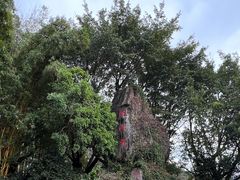 -雁南飞茶田景区