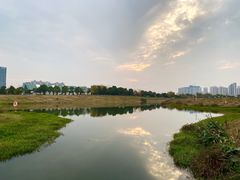 -洋湖国家湿地公园