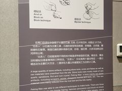 -北京周口店北京人遗址博物馆