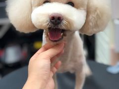 -小尾巴宠物店(万科·金域华庭店)