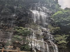 -陕西省红河谷森林公园