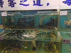 -胖姐渔村(中源大道店)