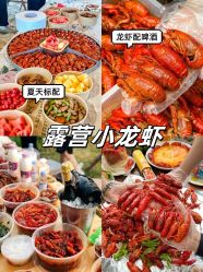 -前小桔亲子创意农场·草莓采摘·露营烧烤