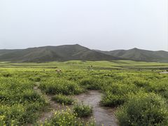 -扁都口生态休闲旅游区