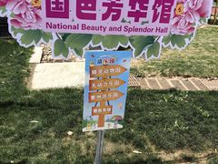 -曹州牡丹园
