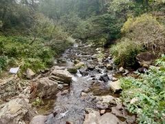 -大鄣山卧龙谷景区