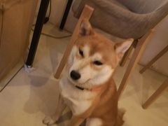 -餐酒吧Com-ing Bar(上海路店)