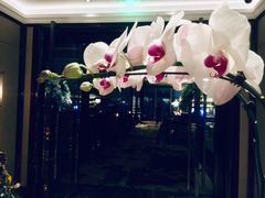-瑞吉吧 The St·Regis Bar(长沙瑞吉酒店)