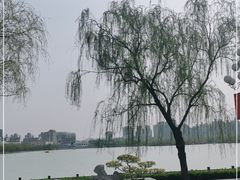 -天津水上公园
