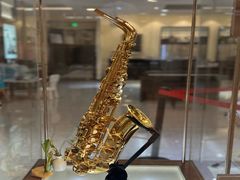 -知音艺术教育培训·钢琴培训·音乐培训(河西金鹰世界校区)