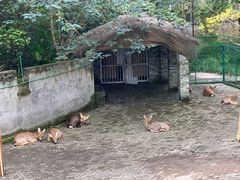 -台州府城(江南长城)