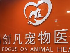 -创凡宠物医院·骨专科  猫科中心(西乡分院)