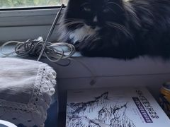 -纳吉亚猫专科动物医院博雅分院