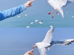 -大理洱海