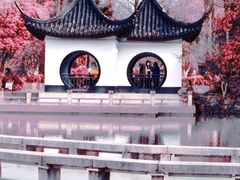 -红梅公园