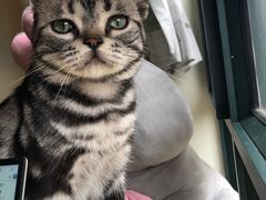 -Meowの猫咖(万家丽店)