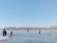 -丁香湖公园