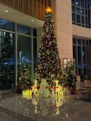 -深圳中洲万豪酒店·宴会厅