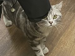 -赛可优数码广告印刷(解放南路店)