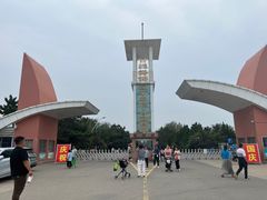 -日照海滨国家森林公园