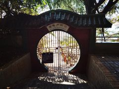 -广东惠东海龟国家级自然保护区