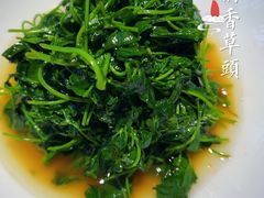 -绿波廊(豫园店)