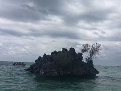 景点-塞尔夫岛