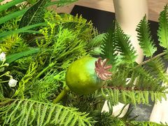 -麦凯乐(开发区店)