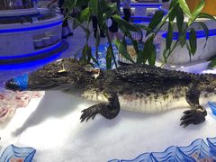 -澜悦港海鲜体验主题餐厅