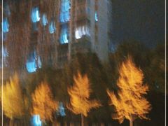 -上海跃迁搬场公司 日式搬家