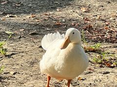 -白塘生态植物园