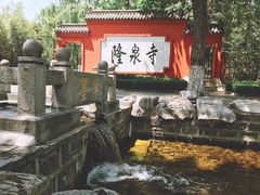 -百脉泉景区