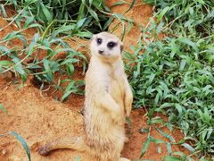 -杭州野生动物世界