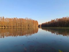 -上海海湾国家森林公园