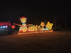 -荷兰花海