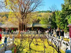 -潭柘寺景区